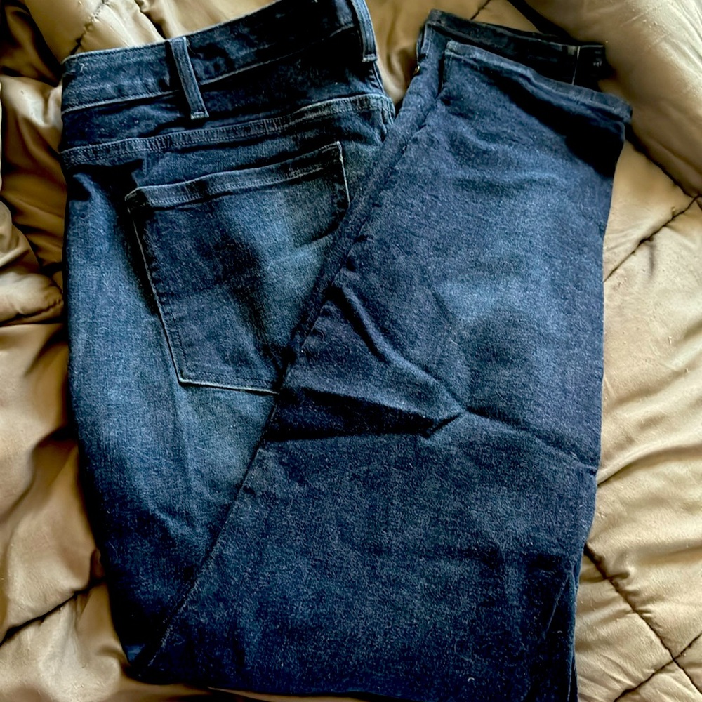Lane Bryant Skinny Jeans